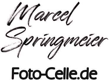 Marcel Springmeier - Foto Celle